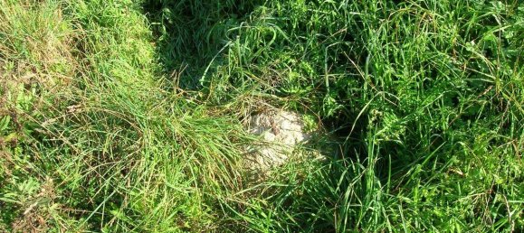 Land in Mahon, Spain No. 3963 6