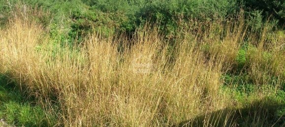 Land in Mahon, Spain No. 3963 2