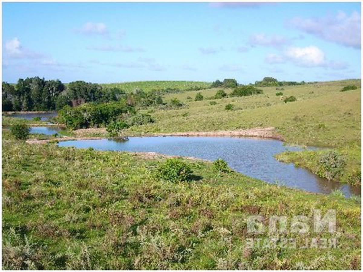  Farm in Maldonado, Uruguay No. 14776
