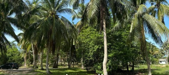 Imóvel comercial em Surat Thani, Thailand N.º 21920 10