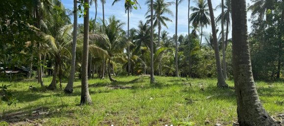 Imóvel comercial em Surat Thani, Thailand N.º 21920 8