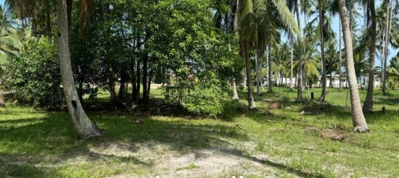 Imóvel comercial em Surat Thani, Thailand N.º 21920 5