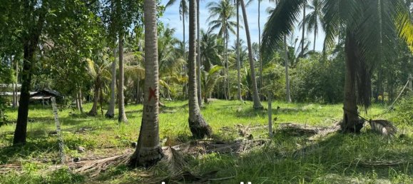 Imóvel comercial em Surat Thani, Thailand N.º 21920 7