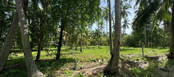 Imóvel comercial em Surat Thani, Thailand N.º 21920 9