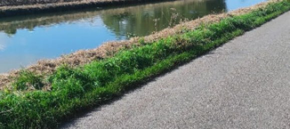  Land in Saint-Pierre-Brouck, France No. 226259 3