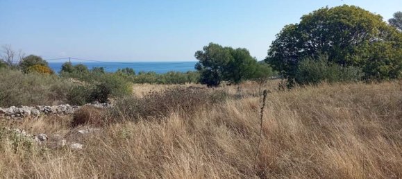  Land in Zakynthos, Greece No. 559 6