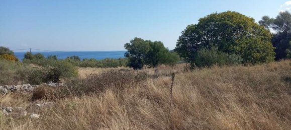  Land in Zakynthos, Greece No. 559 10