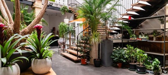 2 bedrooms House in Montelimar, France No. 304467 8