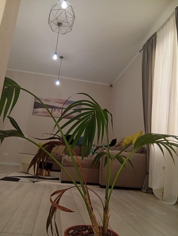 5 rooms House in Cascina, Italy No. 289974