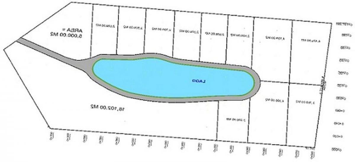 Terrain à Veracruz, Mexico No. 203765