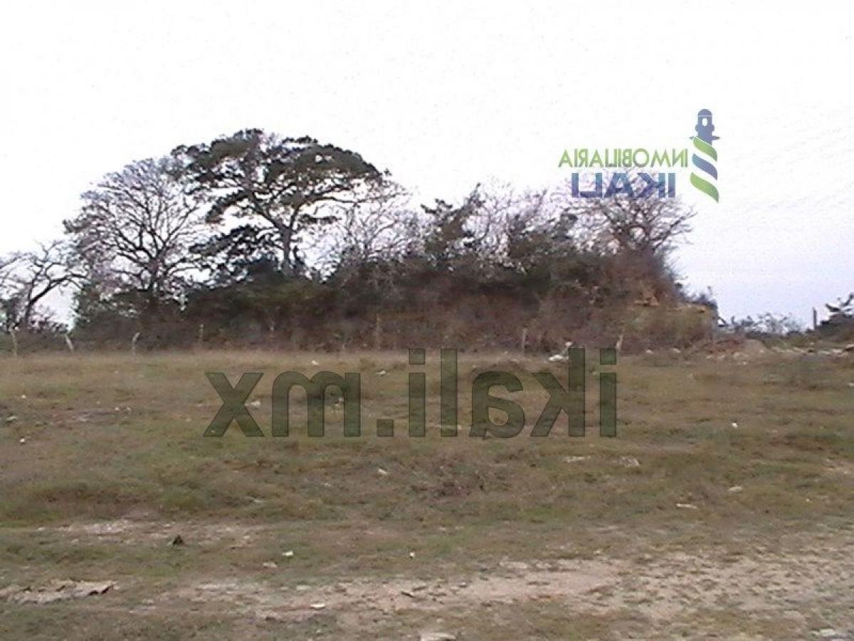 Земельный участок в Веракрус, Мексика № 203071