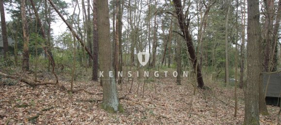 Terreno en Dahme-Spreewald, Germany 988 m² No. 56864 5