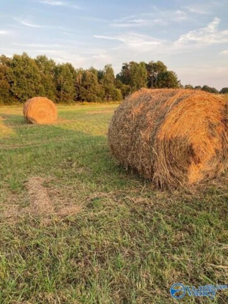  Land in Elkmont, USA No. 518203