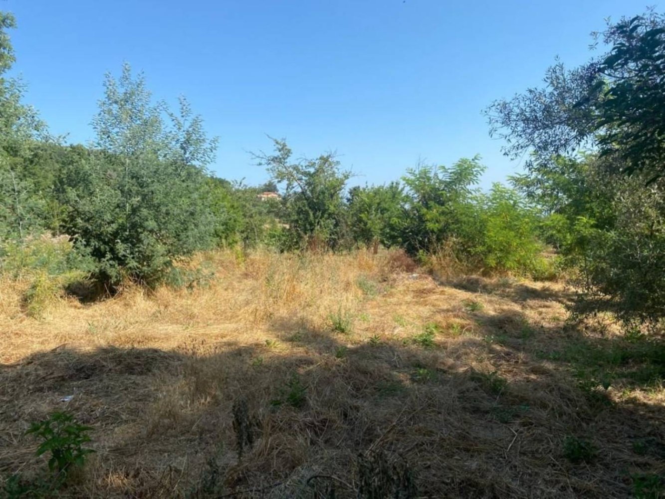 4 rooms House in Caiazzo, Italy No. 223572