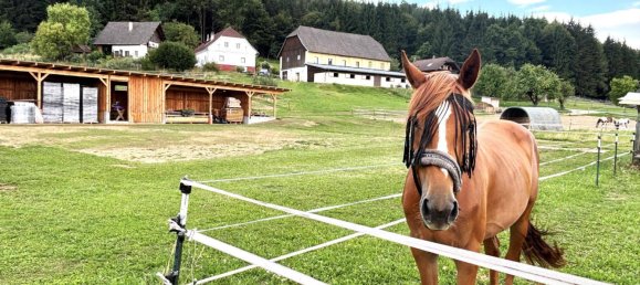 Casa de 6 divisões em Volkermarkt, Austria N.º 220867 34