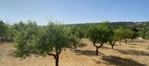  قطعة أرض في Velez-Blanco, Spain 4000متر مربع رقم 142686 20