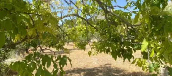  قطعة أرض في Velez-Blanco, Spain 4000متر مربع رقم 142686 15