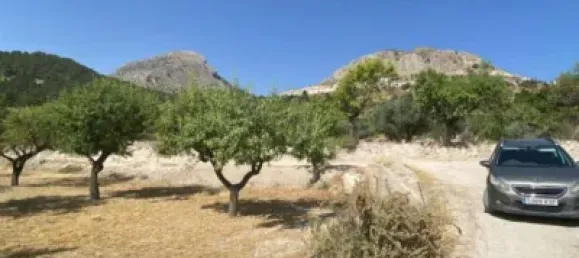  قطعة أرض في Velez-Blanco, Spain 4000متر مربع رقم 142686 16