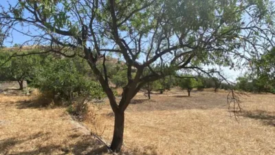  قطعة أرض في Velez-Blanco, Spain 4000متر مربع رقم 142686