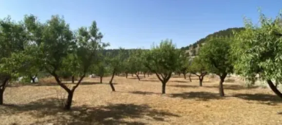  قطعة أرض في Velez-Blanco, Spain 4000متر مربع رقم 142686 7