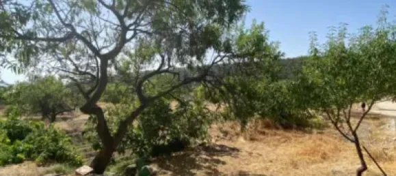  قطعة أرض في Velez-Blanco, Spain 4000متر مربع رقم 142686 21