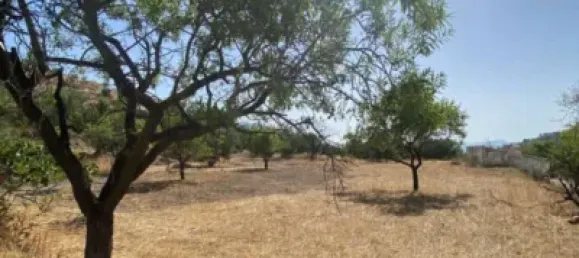  قطعة أرض في Velez-Blanco, Spain 4000متر مربع رقم 142686 14