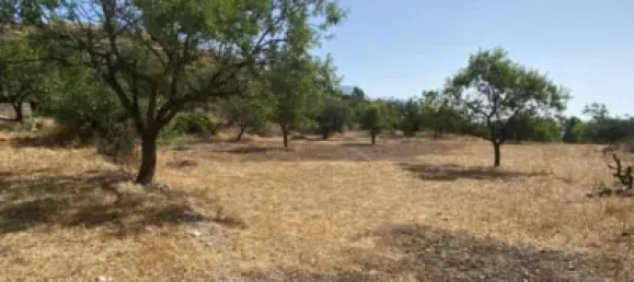  قطعة أرض في Velez-Blanco, Spain 4000متر مربع رقم 142686 6