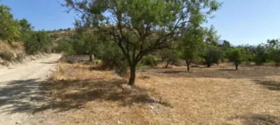  قطعة أرض في Velez-Blanco, Spain 4000متر مربع رقم 142686 5