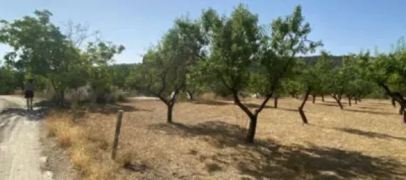  قطعة أرض في Velez-Blanco, Spain 4000متر مربع رقم 142686 17