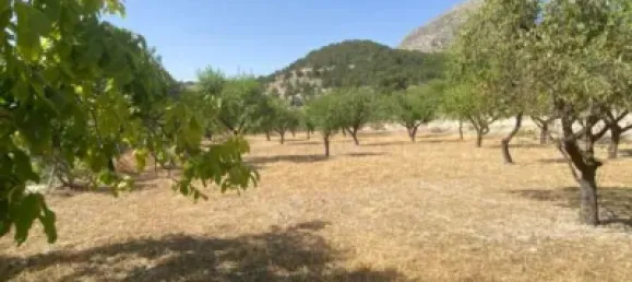  قطعة أرض في Velez-Blanco, Spain 4000متر مربع رقم 142686 9