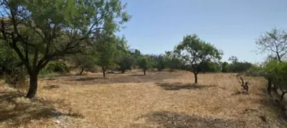  قطعة أرض في Velez-Blanco, Spain 4000متر مربع رقم 142686 8