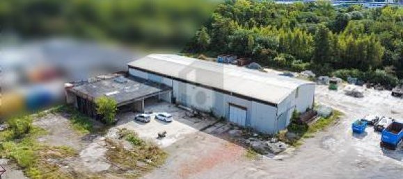 2012m² Warehouse in Lower Saxony, Germany No. 330831 3