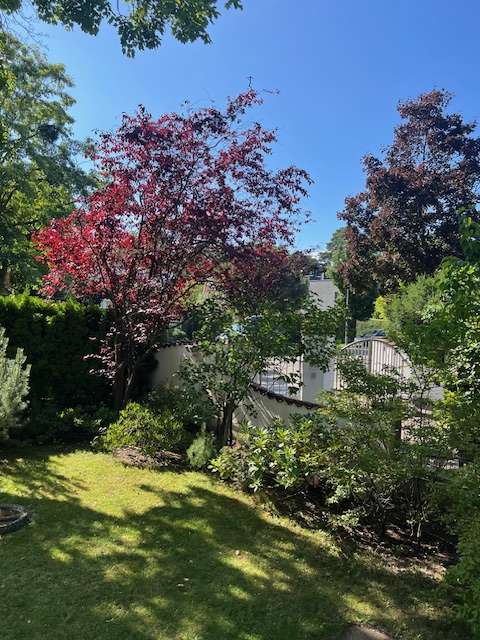 3 bedrooms Villa in Wannsee, Germany No. 343634