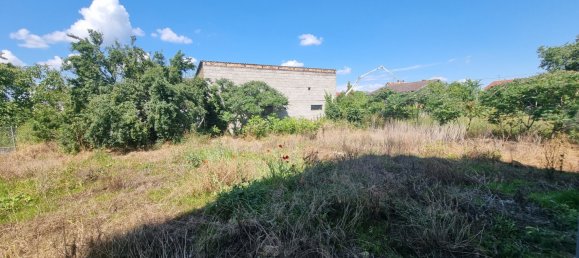 3 bedrooms House in Ottmarsheim, France No. 83202 13