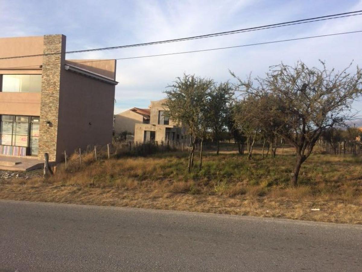 Terreno en San Luis, Argentina No. 42674