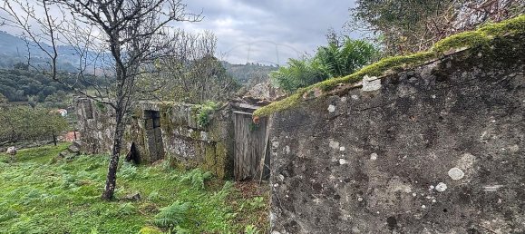 2 bedrooms House in Baiao, Portugal No. 168843 2