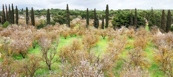 2 bedrooms Apartment in Marousi, Greece No. 3688 12