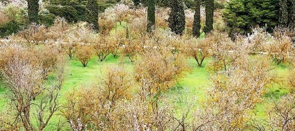 2 bedrooms Apartment in Marousi, Greece No. 3688 13