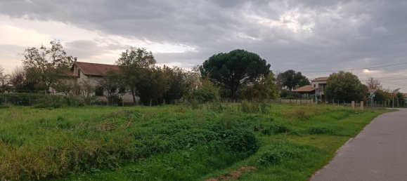  Land in Cussac-Fort-Medoc, France No. 106346 3