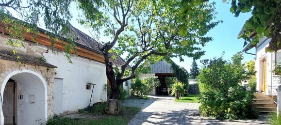 3 rooms Warehouse in Eisenstadt Umgebung, Austria No. 243134 5