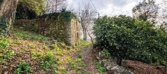 1 bedroom House in Ribeiros, Portugal No. 37058 3