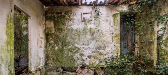 1 bedroom House in Ribeiros, Portugal No. 37058 7