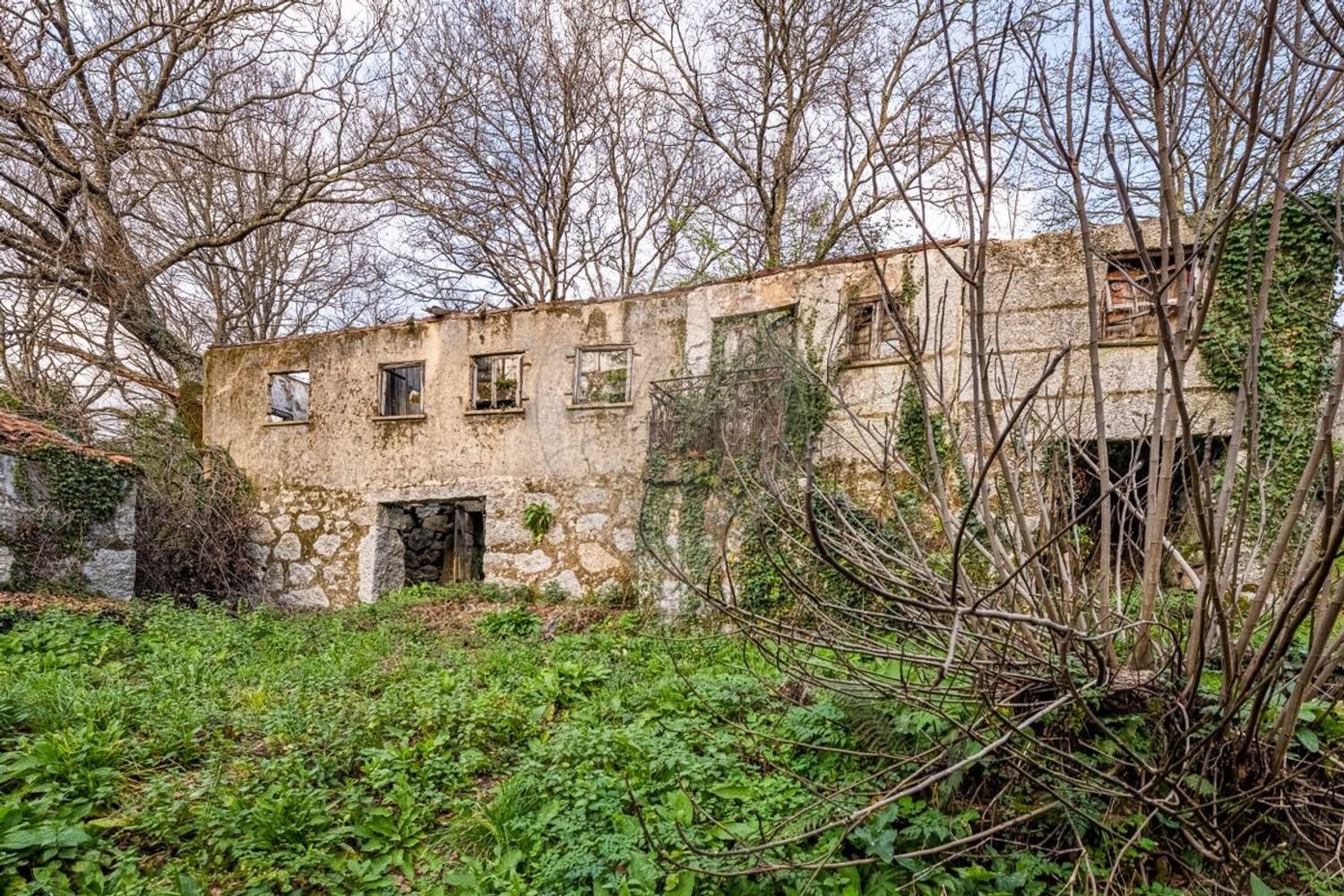 1 bedroom House in Ribeiros, Portugal No. 37058