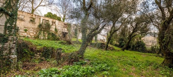 1 bedroom House in Ribeiros, Portugal No. 37058 8