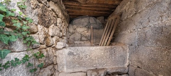 1 bedroom House in Ribeiros, Portugal No. 37058 14