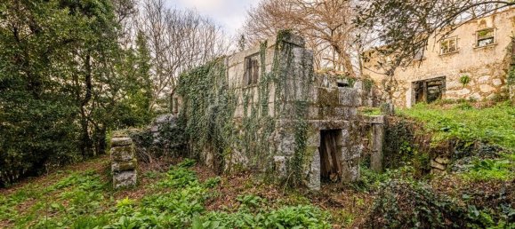 1 bedroom House in Ribeiros, Portugal No. 37058 9