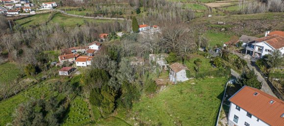 1 bedroom House in Ribeiros, Portugal No. 37058 18