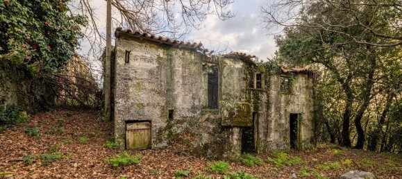 1 bedroom House in Ribeiros, Portugal No. 37058 6