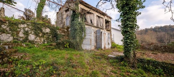 1 bedroom House in Ribeiros, Portugal No. 37058 11