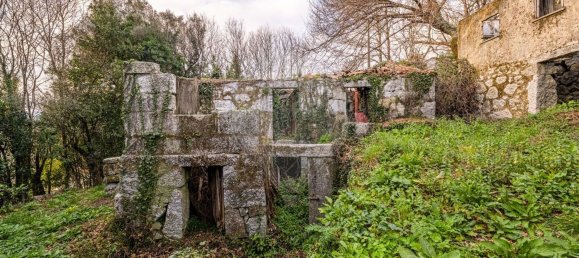 1 bedroom House in Ribeiros, Portugal No. 37058 10